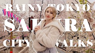 BAD WEATHER Cant Stop THIS Japan Adventure 🌸 Japan Life Vlog  a day in the life in tokyo itshoneybii