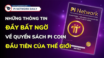 Những Thông Tin Đầy Bất Ngờ Về Quyển Sách Pi Coin Đầu Tiên Của Thế Giới