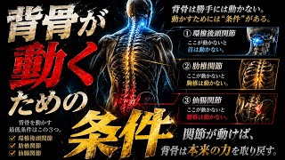 背骨を動かしているつもりの人へ。【身体開発・立腰体操・フィジカリストOuJi】