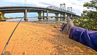 видео: Ловля рыбы на приманку с этого моста! Удивительные результаты! картинка: Ловля рыбы на приманку с этого моста! Удивительные результаты!