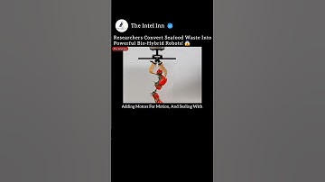 Researchers Convert Seafood Waste Into Powerful Bio-Hybrid Robots! 😱 #Robotics #EcoFriendly