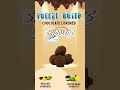 Chocolate Covered Freeze Dried Skiddlers
