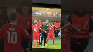 Sane Mane Cold Handshake
