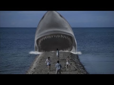 The Shark Scale: Jaws In Japan (Psychoshark) - YouTube