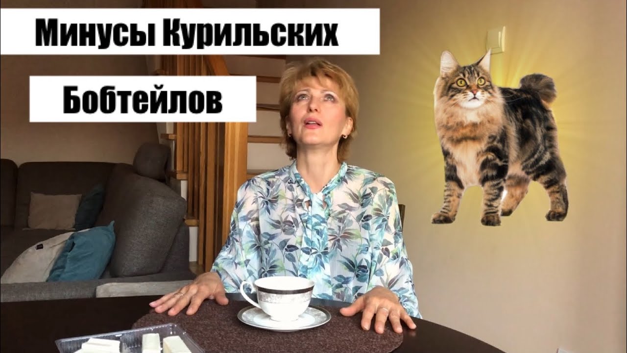 отзывы о собаках бобтейл