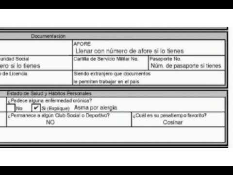 ¿Puede La Solicitud De Empleo Pedir La Fecha De Nacimiento?