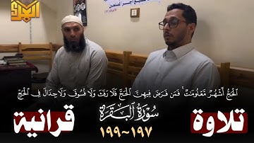 (الحج أشهر معلومات ….)ماتيسر من آيات الحج في سورة البقره لفضيلة الشيخ / أحمد معوض الحنبلي