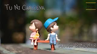 Video thumbnail of "Tu Ni Challeya | Pavitar Lassoi | Slowed and Reverb"