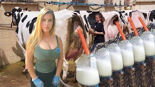 Modern Milking Technology LIVE Girls Work on Dairy Farm with Cows 2022