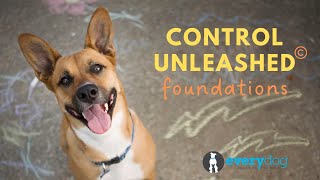 Control Unleashed Foundations: Helping dogs who are reactive, fearful, anxious, or distracted.