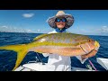 Monster yellowtail snapper catch clean cook