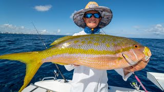 MONSTER Yellowtail Snapper- Catch Clean Cook