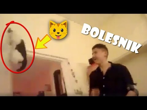 Video: Po 7 Letih Najdena Pogrešana Mačka