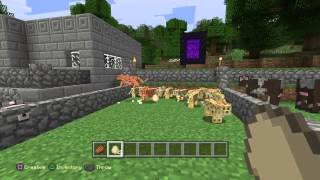 Minecraft: throwing eggs at cats is funny