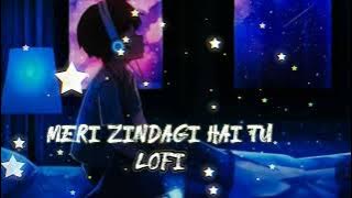Meri Zindagi Hai Tu Lofi [ Slowed   Reverb ] - Jubin Nautiyal, Neeti Mohan | Feel The Song