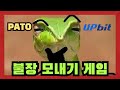 파토의 업비트 모내기 매매법 (세번째 영상) #불장에서 게임처럼 매매하기