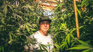 Growing Weed Since 9