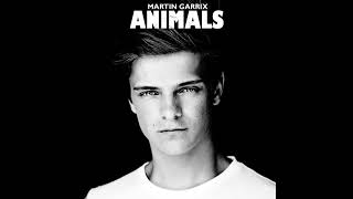 Martin Garrix - Animals (Radio Edit)