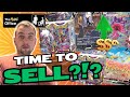 When is the right time to sell your pokemon collection  pokemon investing 2024