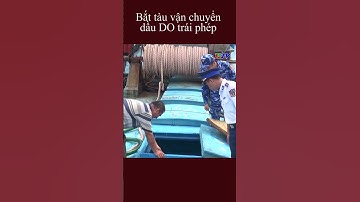 Bắt tàu vận chuyển dầu DO trái phép #shorts