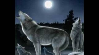 Watch El Ultimo Ke Zierre Lobo Estepario video