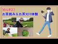 Vlog#33【お茶摘み＆お茶刈り体験】