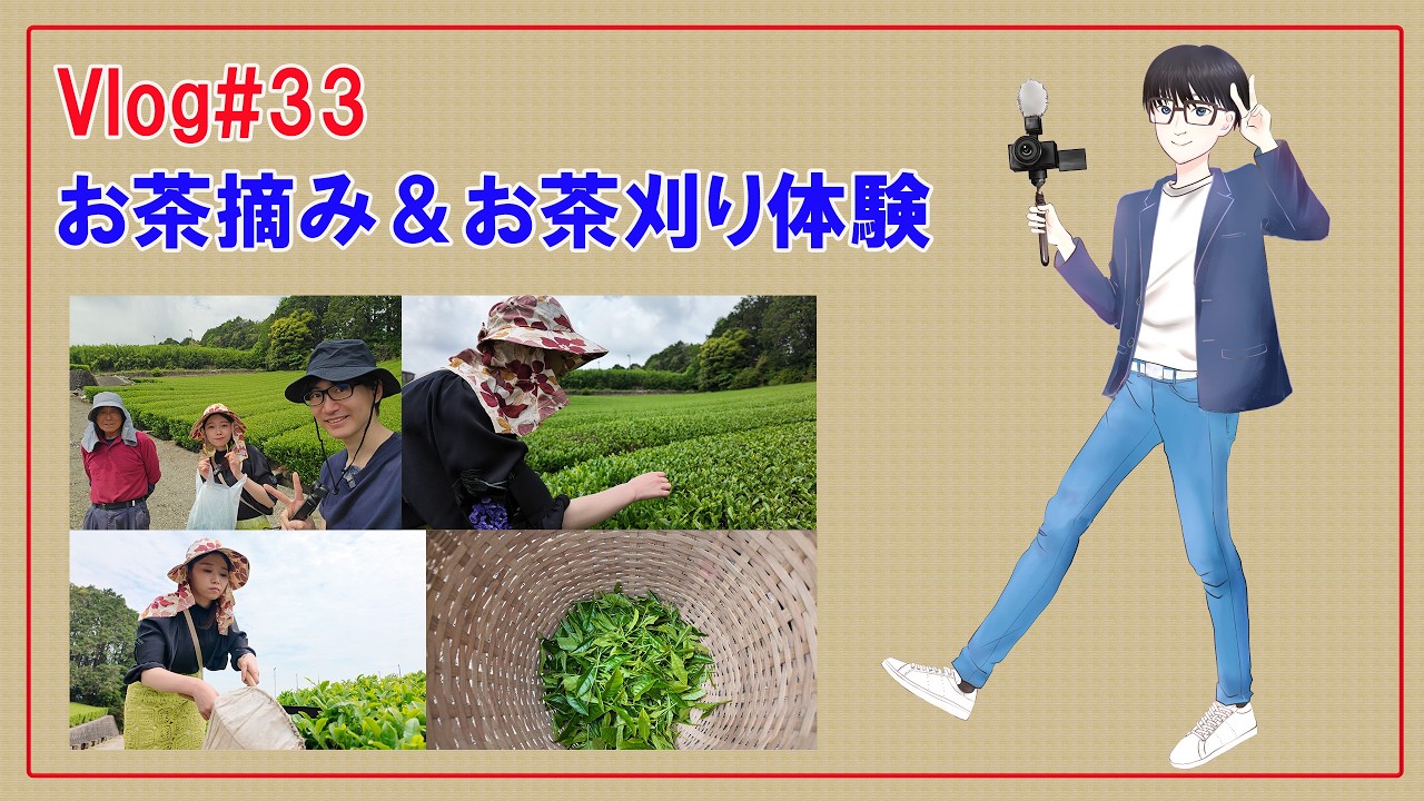 Vlog#33【お茶摘み＆お茶刈り体験】