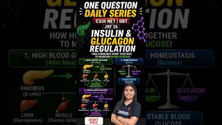 one question daily Which Statement About Insulin &amp; Glucagon Is WRONG? #csirnet #dbtjrf