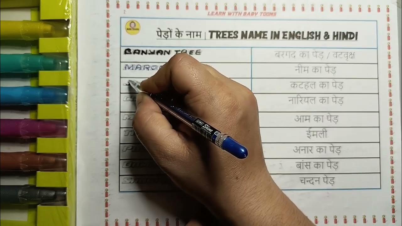 10 TREES NAME IN ENGLISH AND HINDI TREES NAME YouTube 10-trees-name-in-english-and-hindi-trees-name-youtube