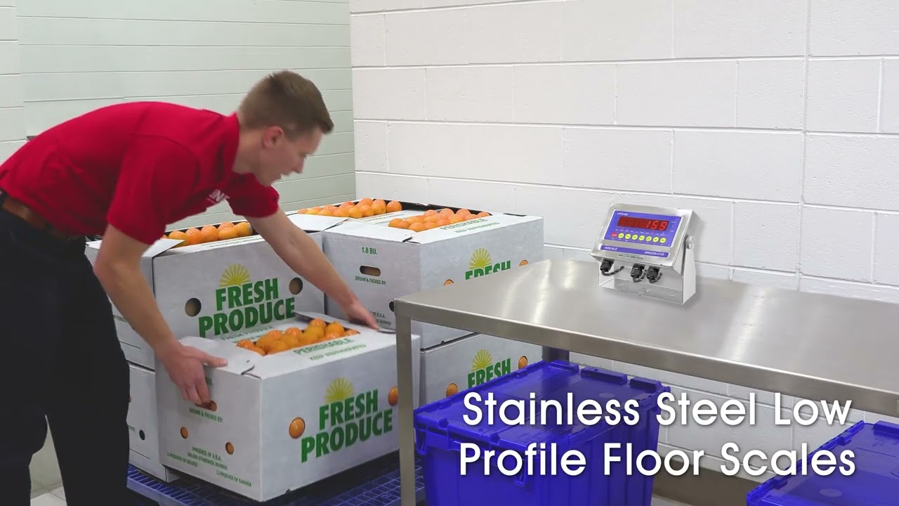 Low Profile Floor Scales