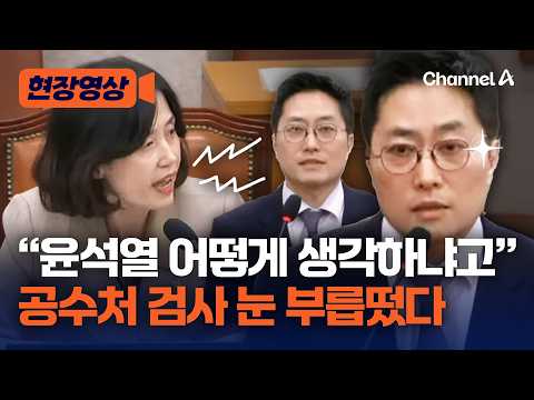 박은정 "尹 키즈가 공수처 들어앉아 尹 세탁" [현장영상] / 채널A