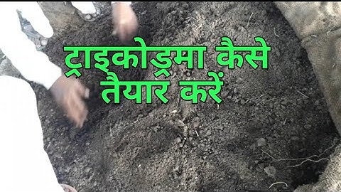 ट्राइकोड्रमा कैसे तैयार करें/फफूंद को खत्म करने के लिए बहुत ही फायदेमंद