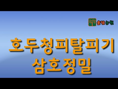 호두청피 탈피 및 호두 세척 보러오세요