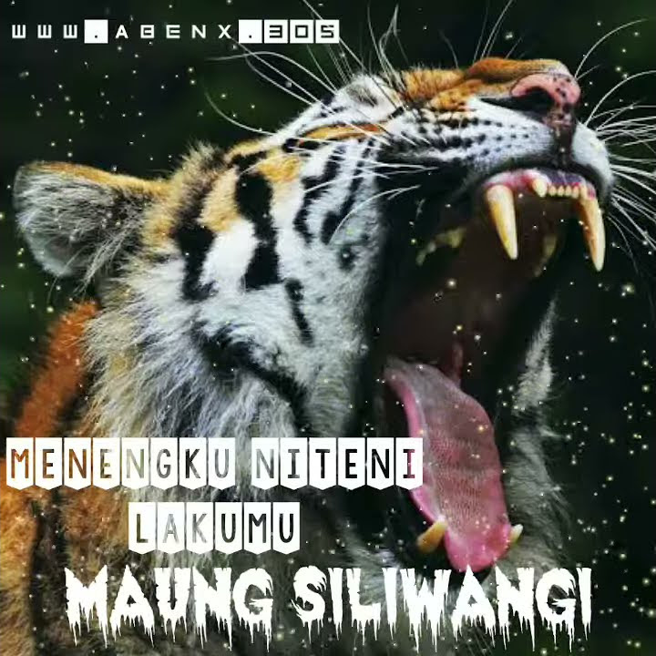 Story wa PEJUANG SILIWANGI INDONESIA