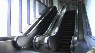 I Am Like Cities Trailer