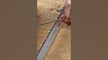 Sharpening Chainsaw Chain - Stihl #shorts #outdoors #chainsaw #trending #stihl