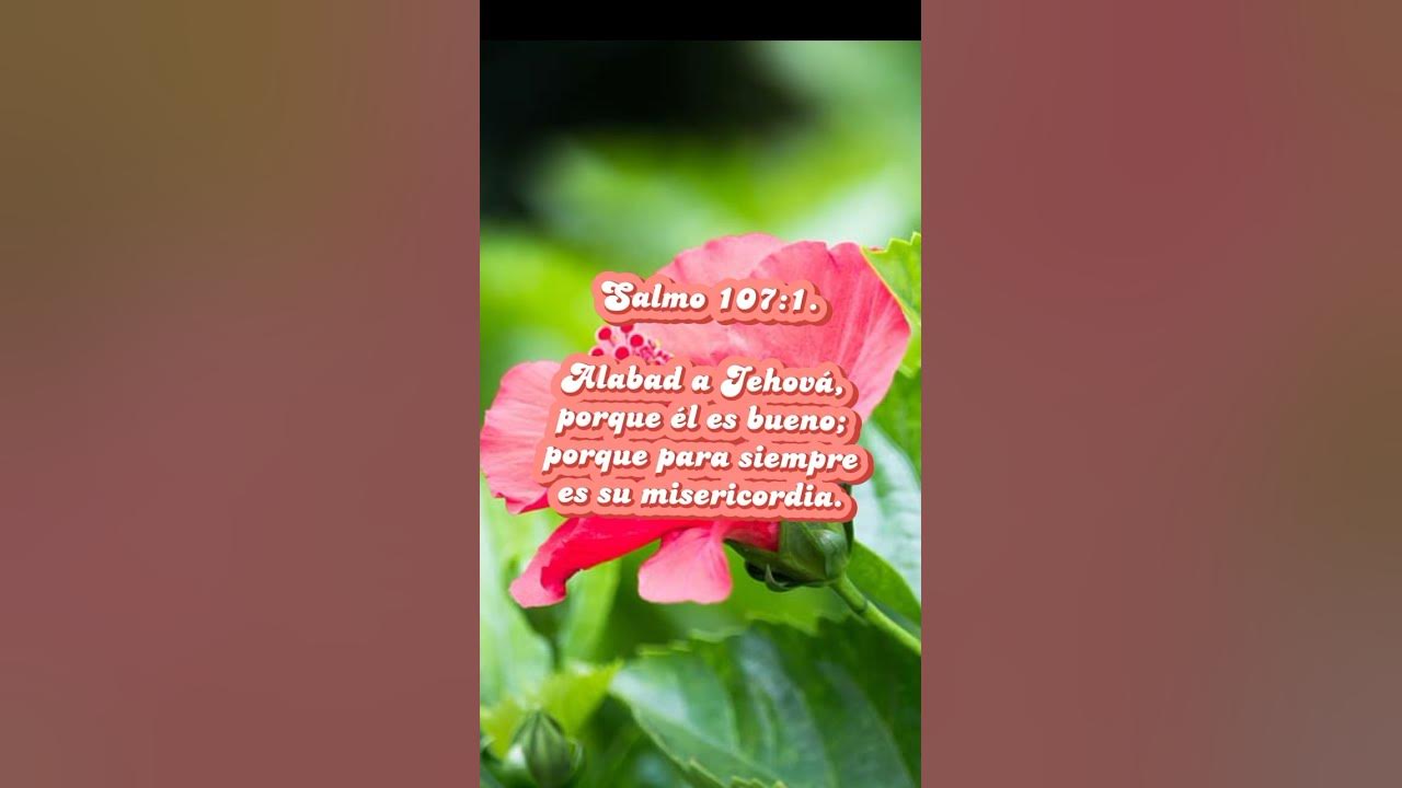PADRE DEL CIELO TE ADORAMOS #YOUTUBESHORTS - YouTube