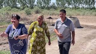 видео: Шымбай совхоз АННА ауылына келин келди картинка: Шымбай совхоз АННА ауылына келин келди