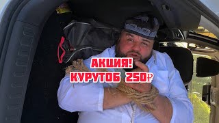 АКЦИЯ!❗️Курутоб 250₽. КУРУТОБ №1. Ⓜ️ Обводный канал📍Нефтяная дорога 1