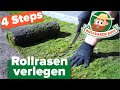 Rollrasen verlegen in 4 einfachen Schritten - So geht's!