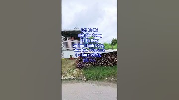 Đất đẹp đường Lê Thị Đảo, xã Tân Thạnh Đông, dt 140m2, chỉ 2 tỷ 800 (L393)  #đất_củ_chi