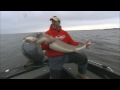Giant Lake Sturgeon Steve Pennaz Fishingclub Com Giant Lake Sturgeon Steve Pennaz Fishingclub Com