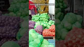 🛒 ХАРЬКОВ ~ ПО ЧЕМ КАРТОШКА НА ОПТЕ? КОННЫЙ РЫНОК ~ KHARKIV HOW MUCH ARE WHOLESALE POTATOES? MARKET