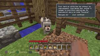 Minecraft (Ps4) : Elevage d'animaux #Ep2