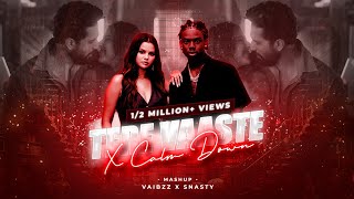 Tere Vaaste X Calm Down (Mashup) | Vaibzz X Snasty | Zara Hatke Zara Bachke | Vicky Kaushal Resimi