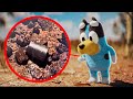 Bluey finds an 8mm x 6mm capsule on the side of the great nothern highway in western australia