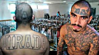 WESTSIDE LA MIRADA VS MS13 MY FIRST DAY AT SCHOOL THE CALIFORNIA YOUTH AUTHORITY SR NORWALK