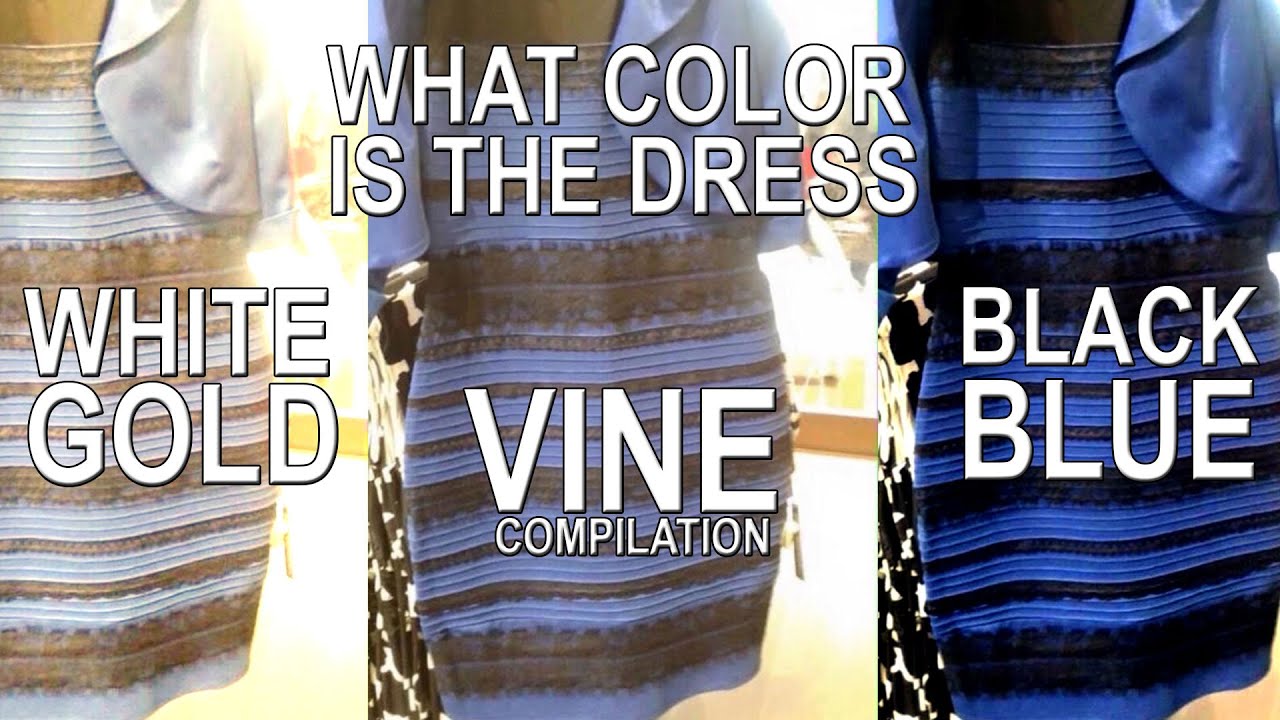 What color is the dress - Vine Compilation - YouTube