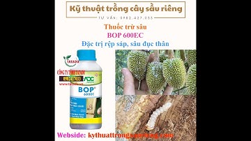 BOP 600EC –THUỐC TRỊ RỆP SÁP, MỌT ĐỤC CÀNH, -HOTLINE: 0919817033-kythuattrongsaurieng.com