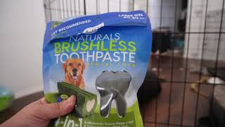 Ark Naturals Brushless Toothpaste ARE THESE BETTER AND HEALTHIER THAN GREENIES?!